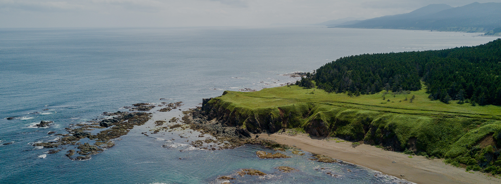 Авиабилеты. бишкек. южно сахалинск. через. новосибирск